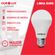 Lampada-de-Led-9W-Superled-6500K-Ourolux