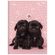 Caderno-14-Brochura-My-Pets-80-Folhas-Sao-Domingos