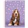 Caderno-Universitario-My-Pets-10-Materias-Sao-Domingos