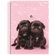 Caderno-Universitario-My-Pets-10-Materias-Sao-Domingos