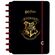 Caderno-Inteligente-by-Harry-Potter-A5