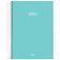 Caderno-Universitario-10-Materias-Stilo-Verde-Pastel-Jandaia