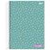 Caderno-14-Stella-80-Folhas-Jandaia