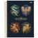 Caderno-Universitario-1-Materia-Hogwarts-Legacy-Jandaia